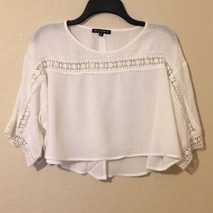 William B White Crop Top